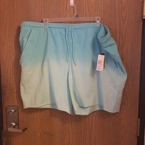 𝅺ORGIN use Womens blue shorts 4xl tall A-14